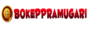 bokeppramugari